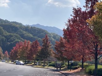 スタッフブログ最新投稿写真